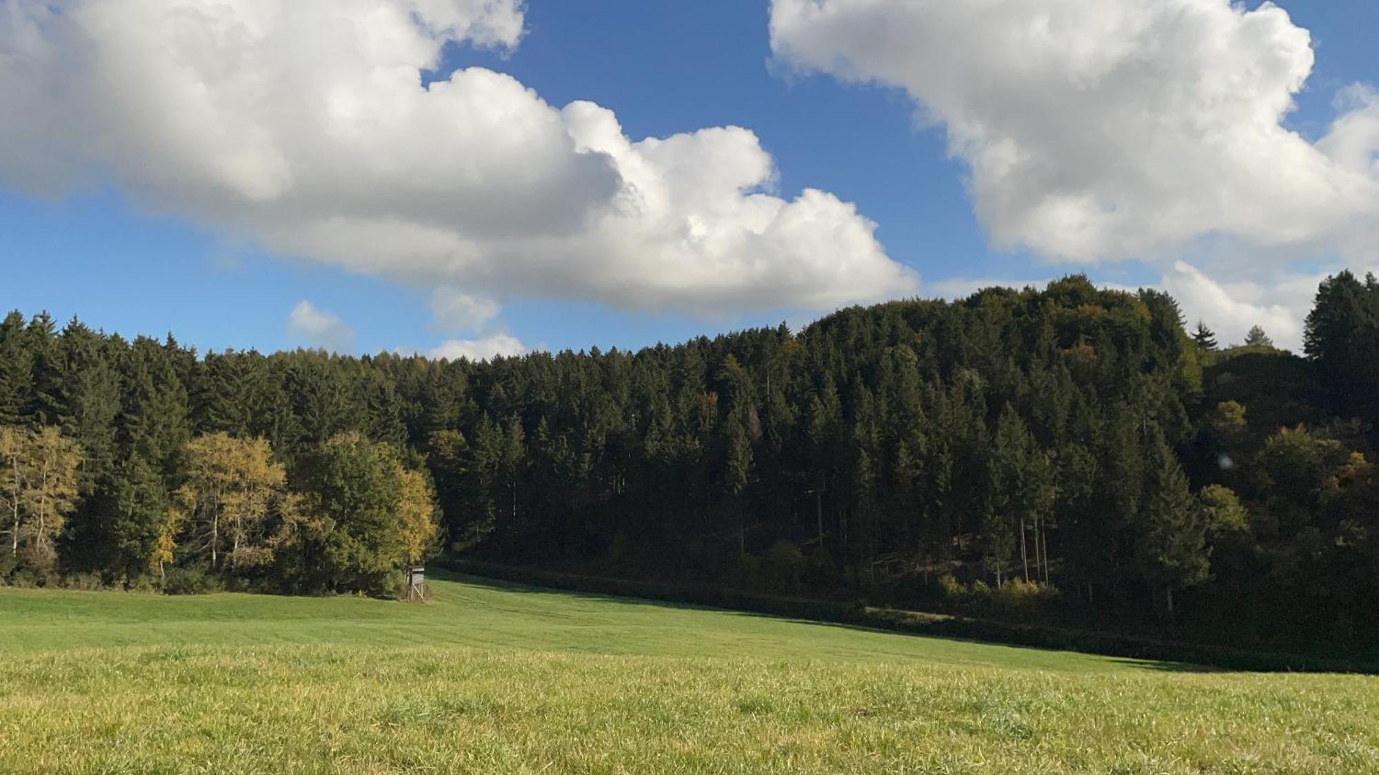 Deine-Eifel-Ferienwohnung Feusdorf Dış mekan fotoğraf