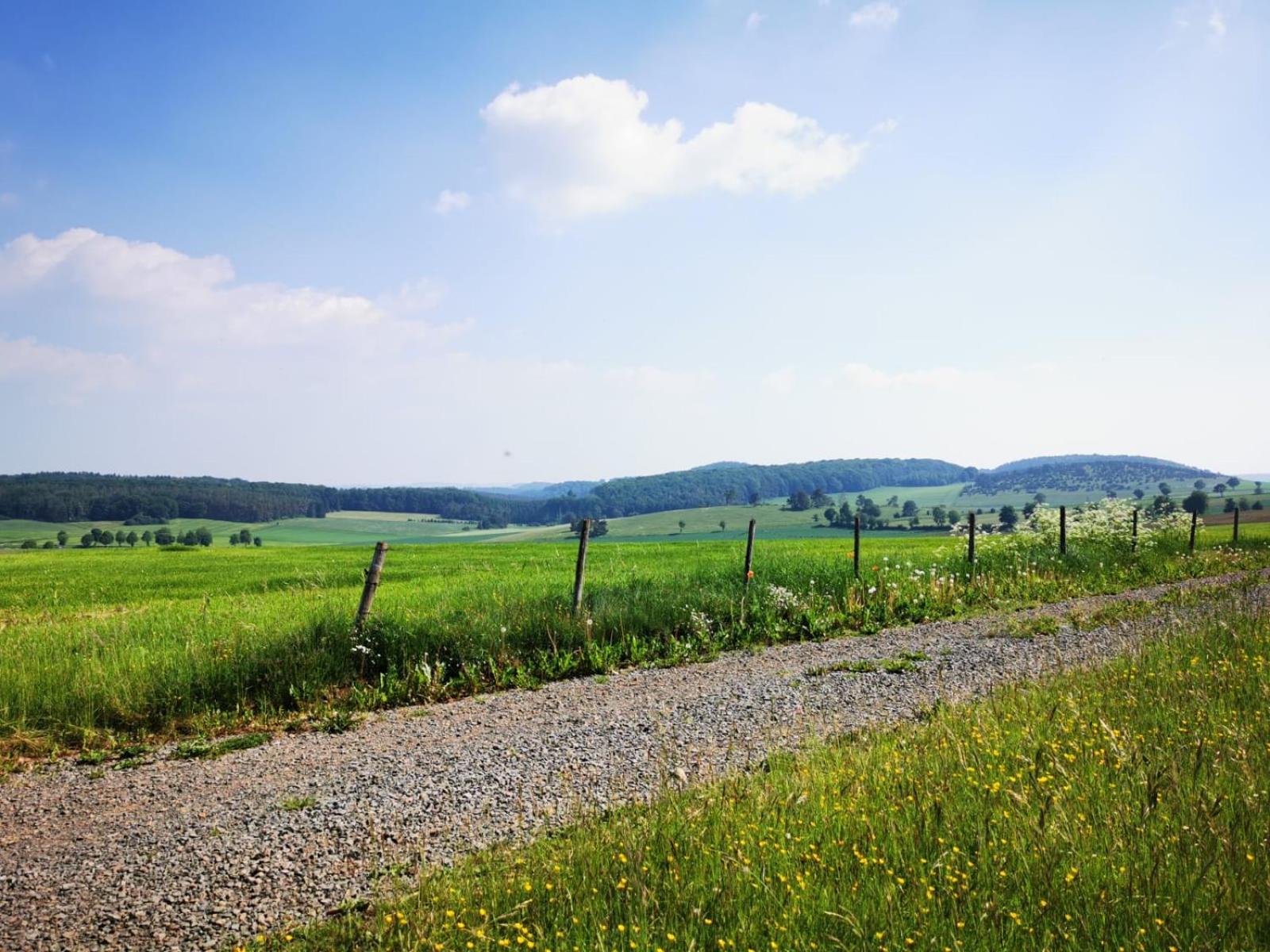 Deine-Eifel-Ferienwohnung Feusdorf Dış mekan fotoğraf