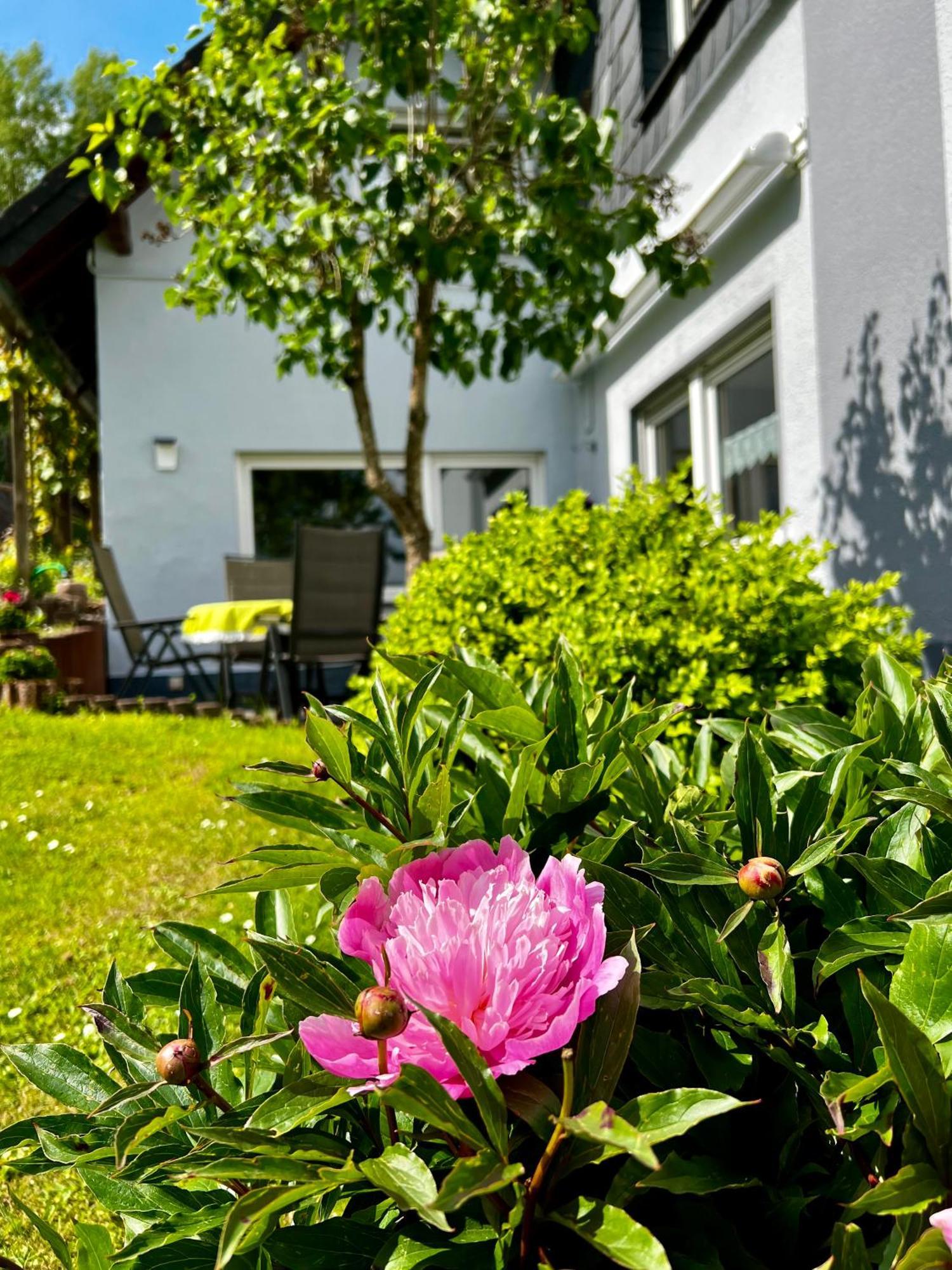 Deine-Eifel-Ferienwohnung Feusdorf Dış mekan fotoğraf