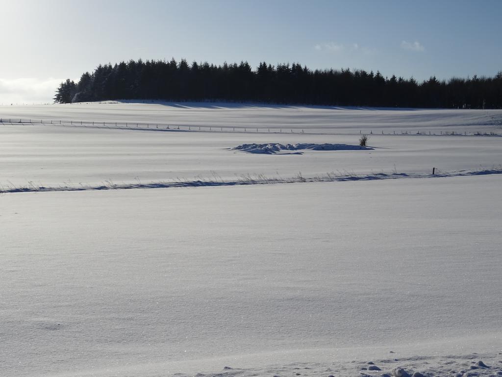 Deine-Eifel-Ferienwohnung Feusdorf Dış mekan fotoğraf