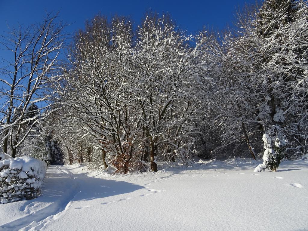 Deine-Eifel-Ferienwohnung Feusdorf Dış mekan fotoğraf