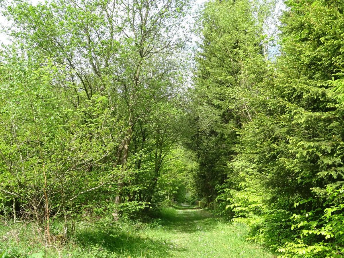 Deine-Eifel-Ferienwohnung Feusdorf Dış mekan fotoğraf