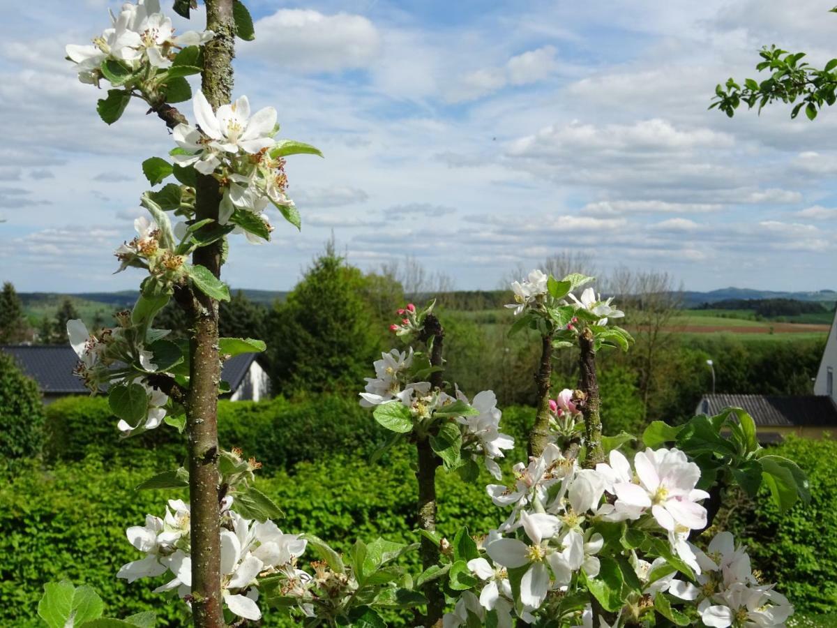 Deine-Eifel-Ferienwohnung Feusdorf Dış mekan fotoğraf