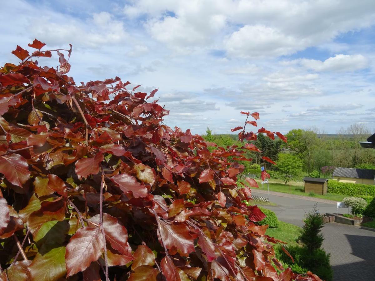 Deine-Eifel-Ferienwohnung Feusdorf Dış mekan fotoğraf
